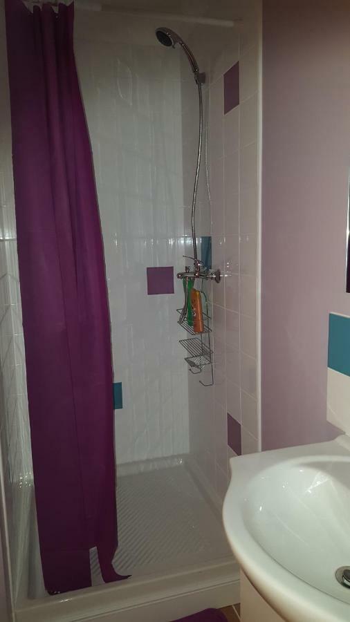 74 Rue Pasteur Apartment Lavelanet Exterior photo